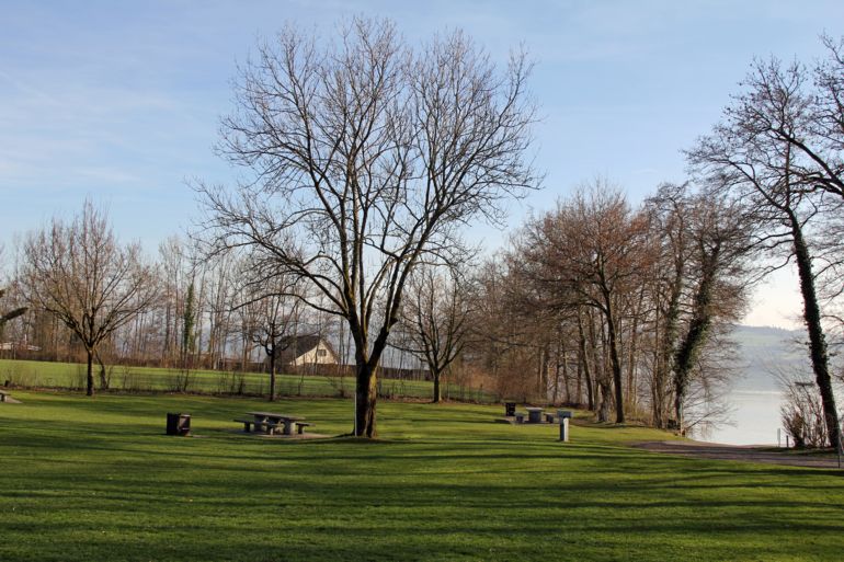 Seepark Schenkon